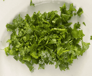 freshly chopped cilantro leaves on a white plate