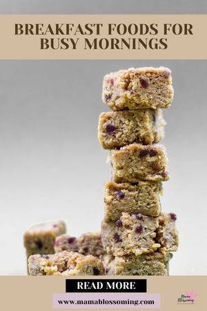 granola bars made from oats and dried fruit